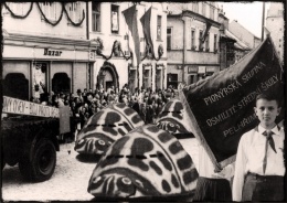 Little comrades struggle against imperialist bugs!